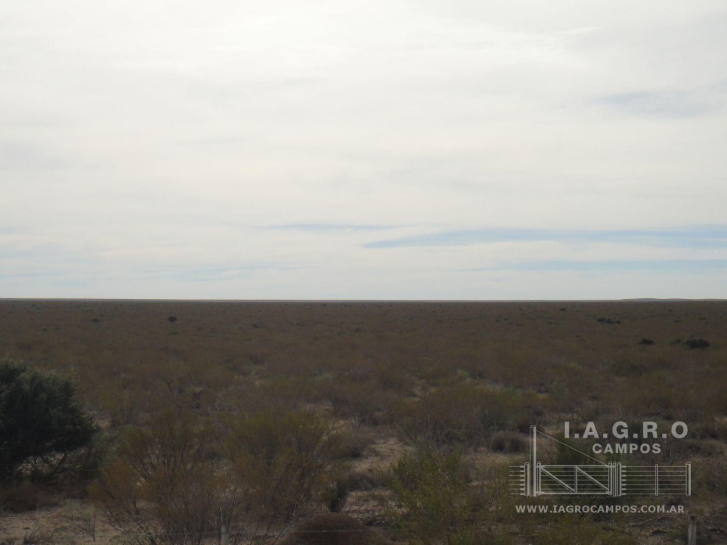Campo  en Venta en Curaco,  Curaco - La Pampa - Bahía Blanca Propiedades | SITIO OFICIAL l