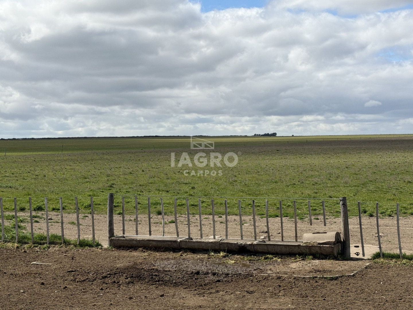 Campo  en Venta en Stroeder,  Stroeder - Bahía Blanca Propiedades | SITIO OFICIAL l