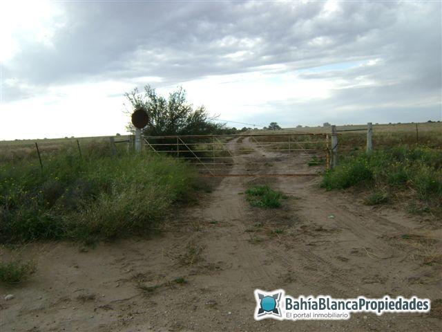 Campo  en Venta en ALGARROBO,  Villarino - Bahía Blanca Propiedades | SITIO OFICIAL l