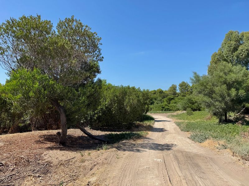 Terreno en Venta en La Florida, El Sauce, Monte Hermoso - Bahía Blanca Propiedades | SITIO OFICIAL l