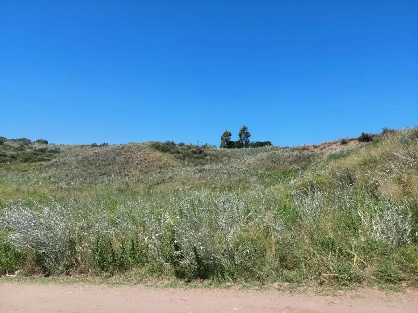 Terreno en Venta en Los Chingolos,  Pehuen Co - Bahía Blanca Propiedades | SITIO OFICIAL l