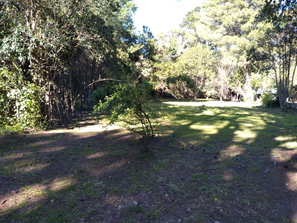 Terreno en Venta   Villa Ventana - Bahía Blanca Propiedades | SITIO OFICIAL l