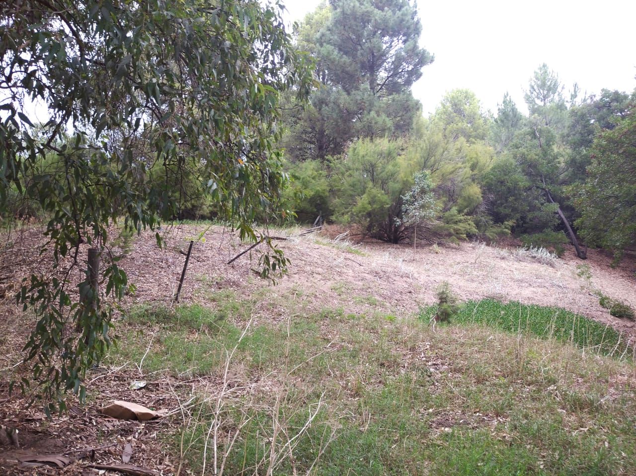 Terreno en Venta en Quintana 500, El Sauce, Monte Hermoso - Bahía Blanca Propiedades | SITIO OFICIAL l