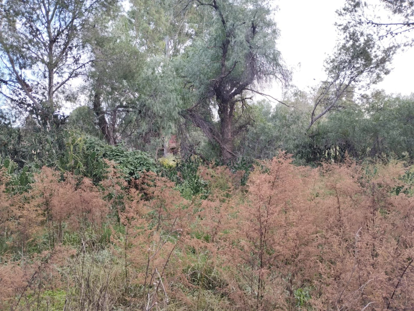 Terreno en Venta en Gualeguay Y Baigorria, San Miguel, Bahía Blanca - Bahía Blanca Propiedades | SITIO OFICIAL l