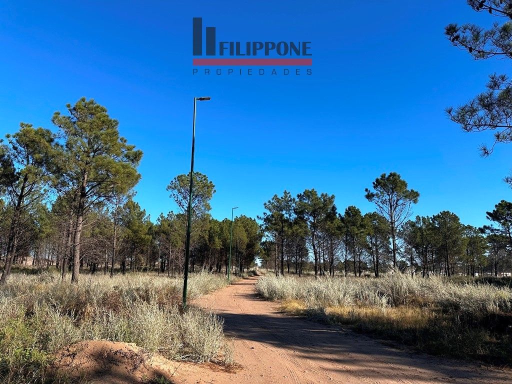 Terreno en Venta   Pehuen Co - Bahía Blanca Propiedades | SITIO OFICIAL l