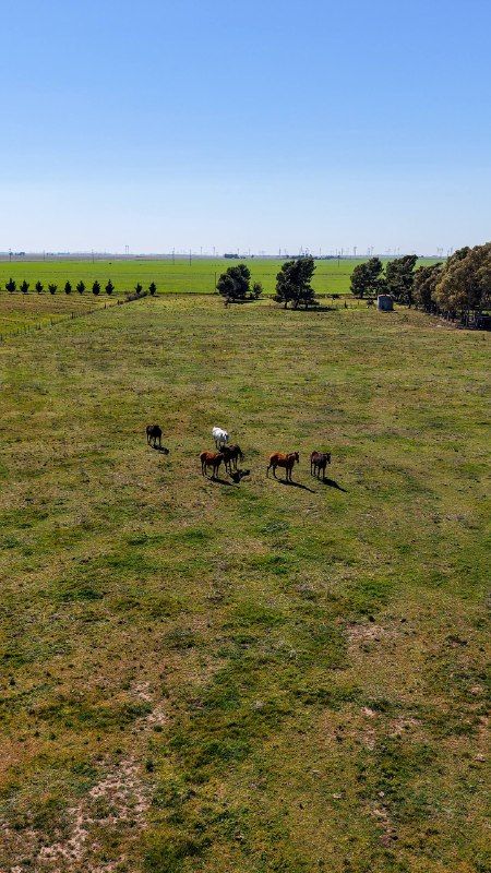 Campo  en Venta   Bahía Blanca - Bahía Blanca Propiedades | SITIO OFICIAL l