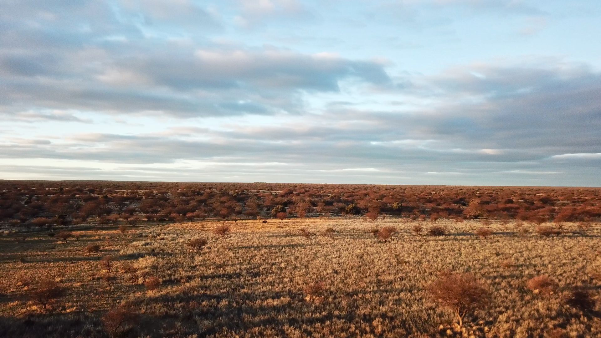 Campo  en Venta   Bernasconi - Bahía Blanca Propiedades | SITIO OFICIAL l
