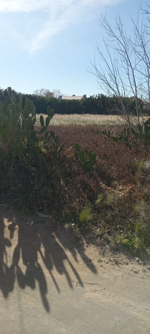 Terreno en Venta en Ambrusi 2500, Parque Norte, Bahía Blanca - Bahía Blanca Propiedades | SITIO OFICIAL l
