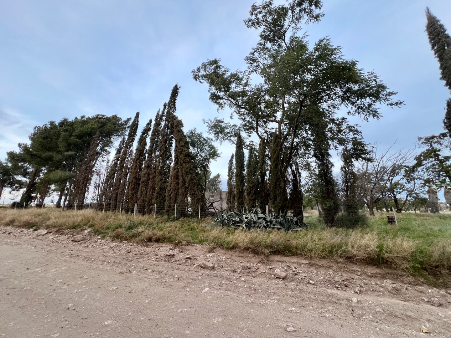Terreno en Venta en Esteban Rigamonti 1895, Villa Belgrano, Bahía Blanca - Bahía Blanca Propiedades | SITIO OFICIAL l