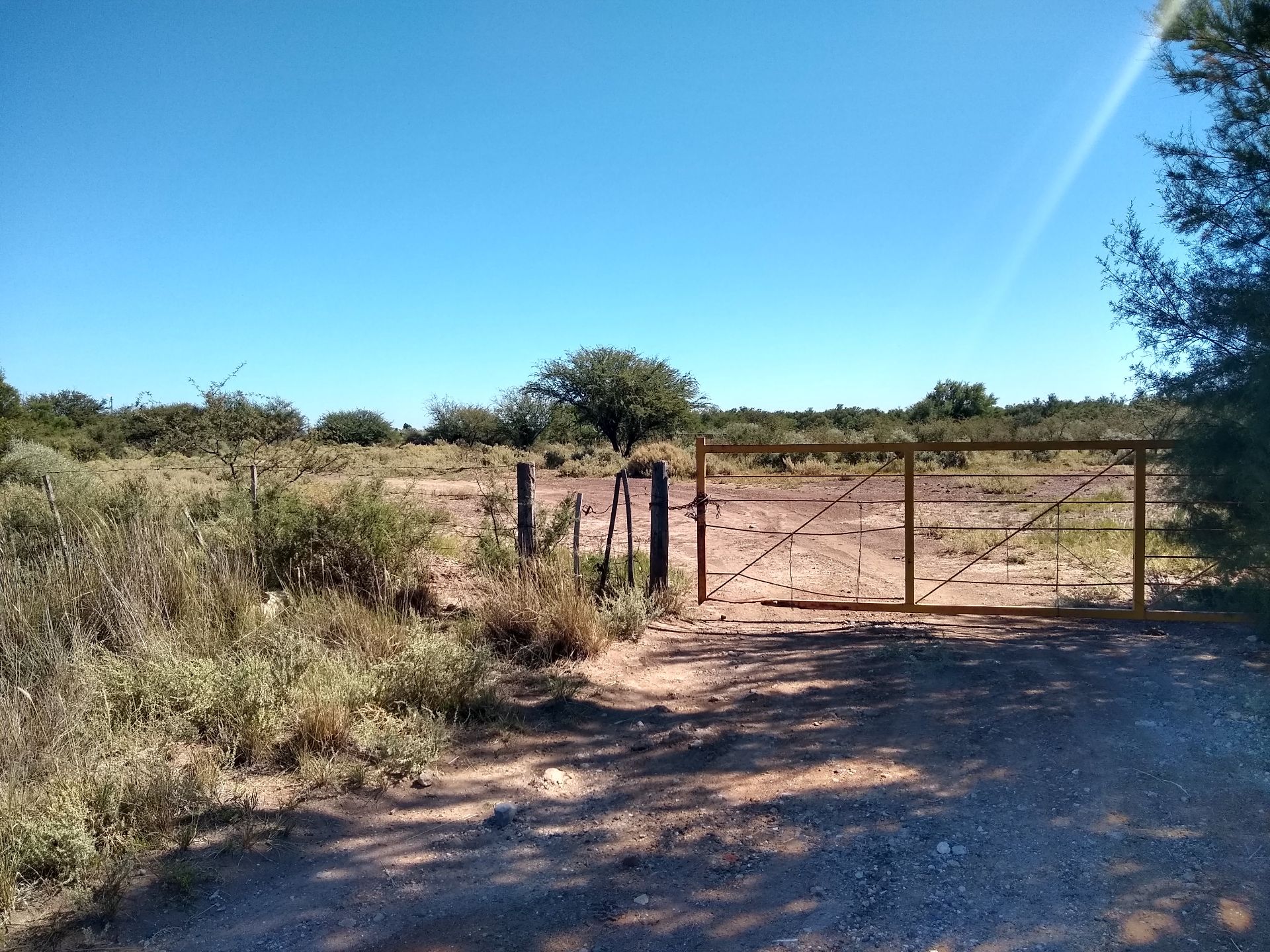 Terreno en Venta en Ruta 3 Km 701,  Bahía Blanca - Bahía Blanca Propiedades | SITIO OFICIAL l