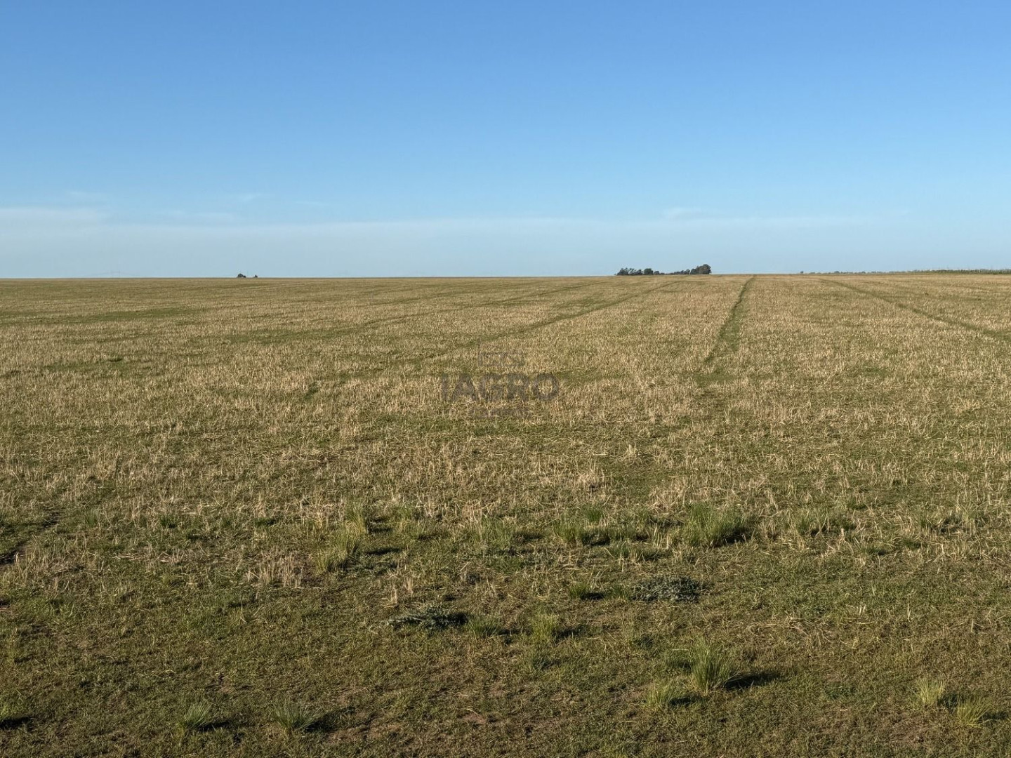 Campo  en Venta en Coronel Dorrego,  Coronel Dorrego - Bahía Blanca Propiedades | SITIO OFICIAL l