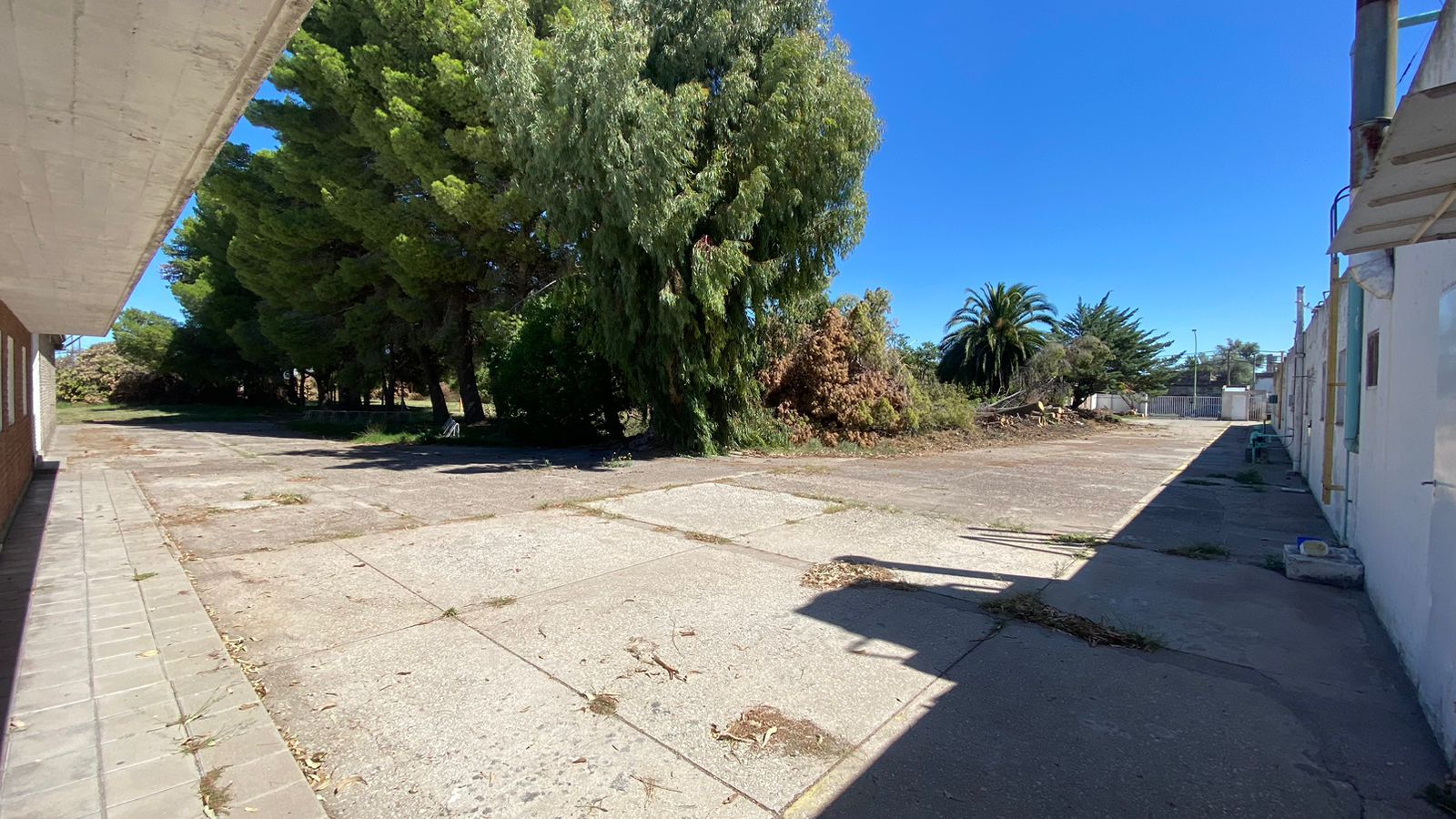 Terreno en Alquiler en Undiano 1508, San Martin, Bahía Blanca - Bahía Blanca Propiedades | SITIO OFICIAL l