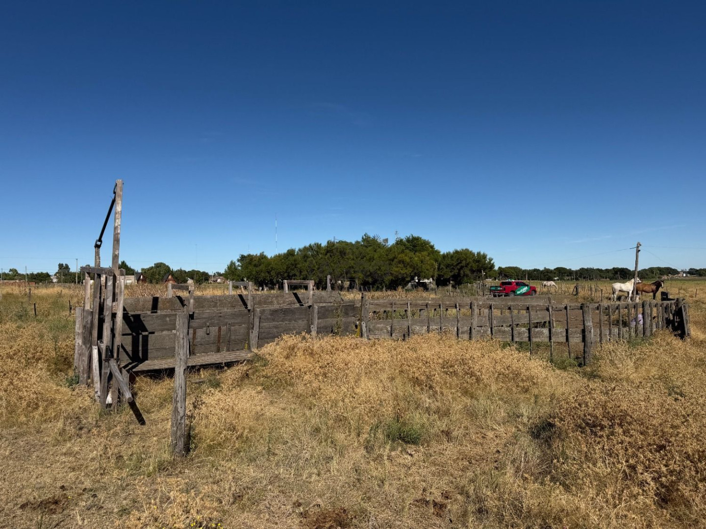 Campo  en Venta en Partido De Saavedra,  Saavedra - Bahía Blanca Propiedades | SITIO OFICIAL l