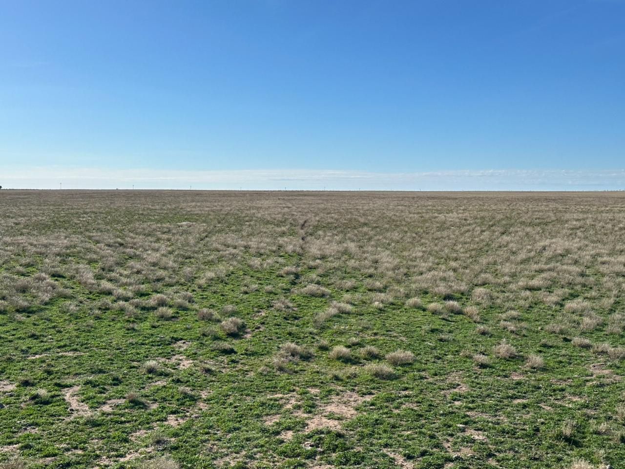 Campo  en Venta en A 4 Kilómetros De La Ruta 3.,  Teniente Origone - Bahía Blanca Propiedades | SITIO OFICIAL l
