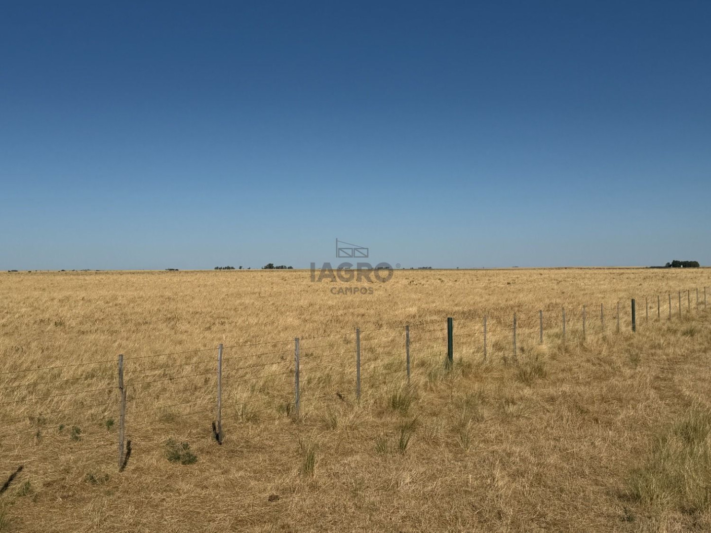 Campo  en Venta en Nueva Roma,  Tornquist - Bahía Blanca Propiedades | SITIO OFICIAL l