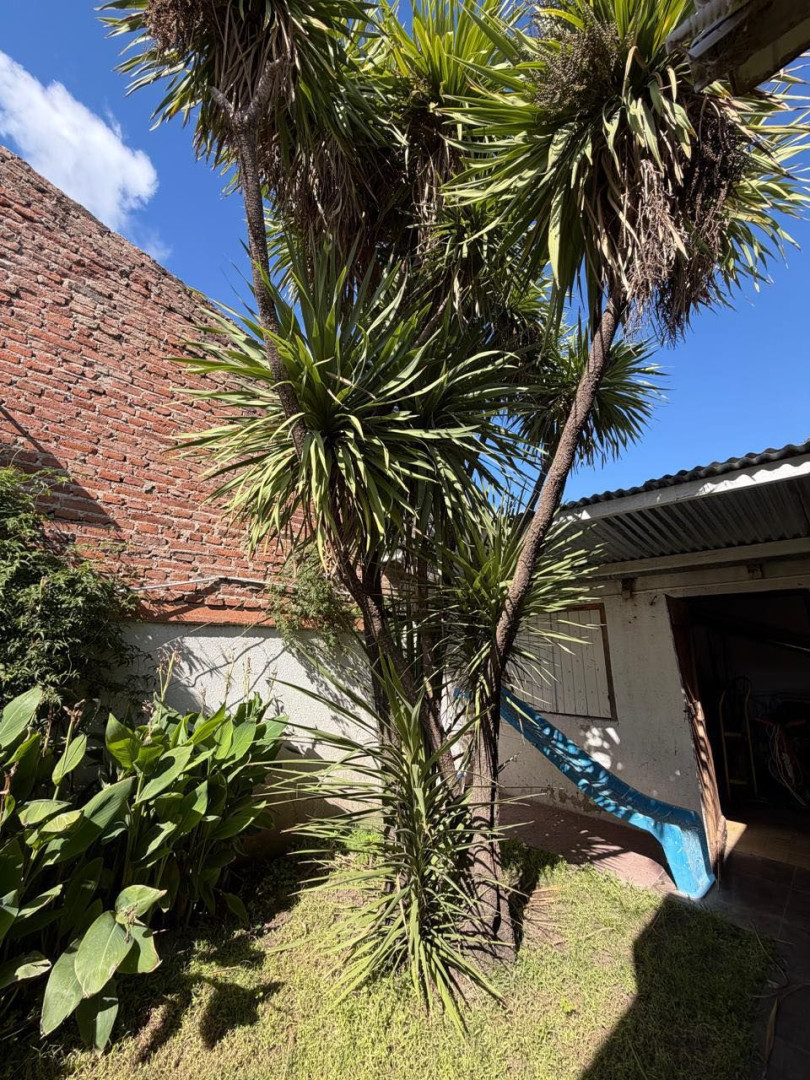 Casa en Venta en BRICKMAN 641, Pedro Pico, Bahía Blanca - Bahía Blanca Propiedades | SITIO OFICIAL l