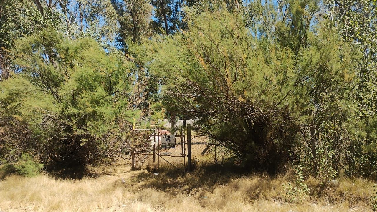 Terreno en Venta en Las Ballenas 850,  Monte Hermoso - Bahía Blanca Propiedades | SITIO OFICIAL l