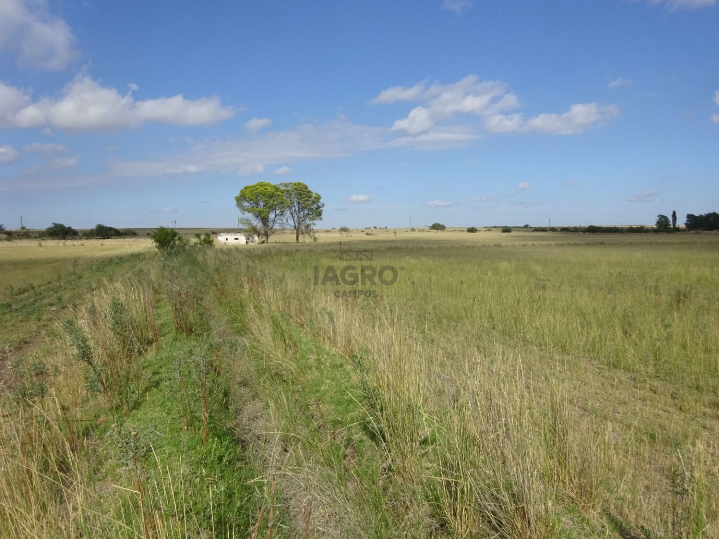 Campo  en Venta en Ruta Nacional 22,  Rio Colorado - Bahía Blanca Propiedades | SITIO OFICIAL l