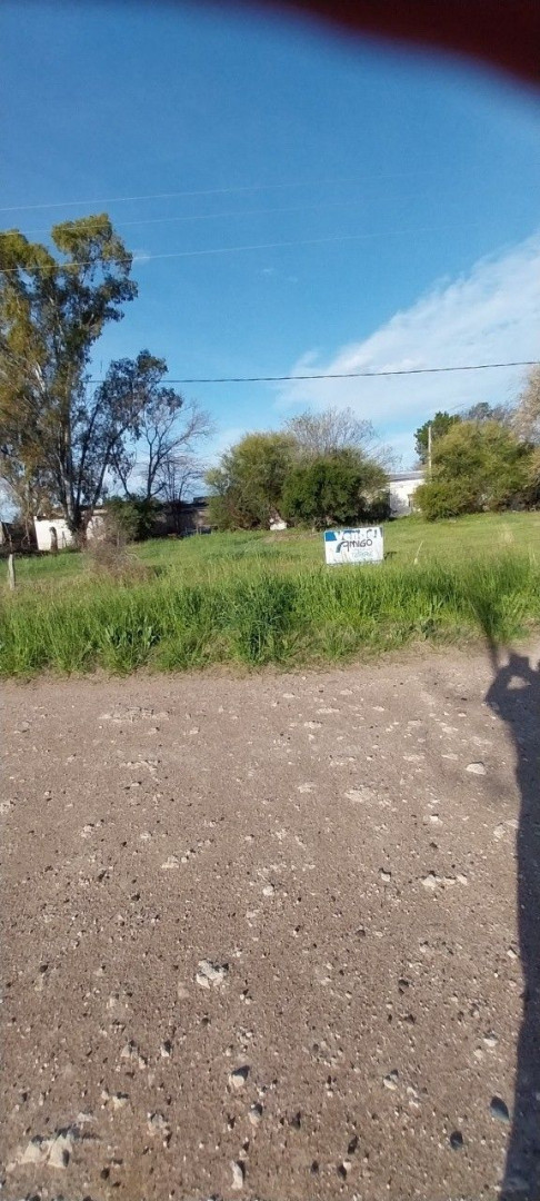 Terreno en Venta en Argerich Pdo De Villarino - Bahía Blanca Propiedades | SITIO OFICIAL l