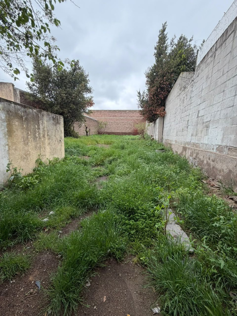 Casa en Alquiler en San Lorenzo 728, Napostá, Bahía Blanca - Bahía Blanca Propiedades | SITIO OFICIAL l