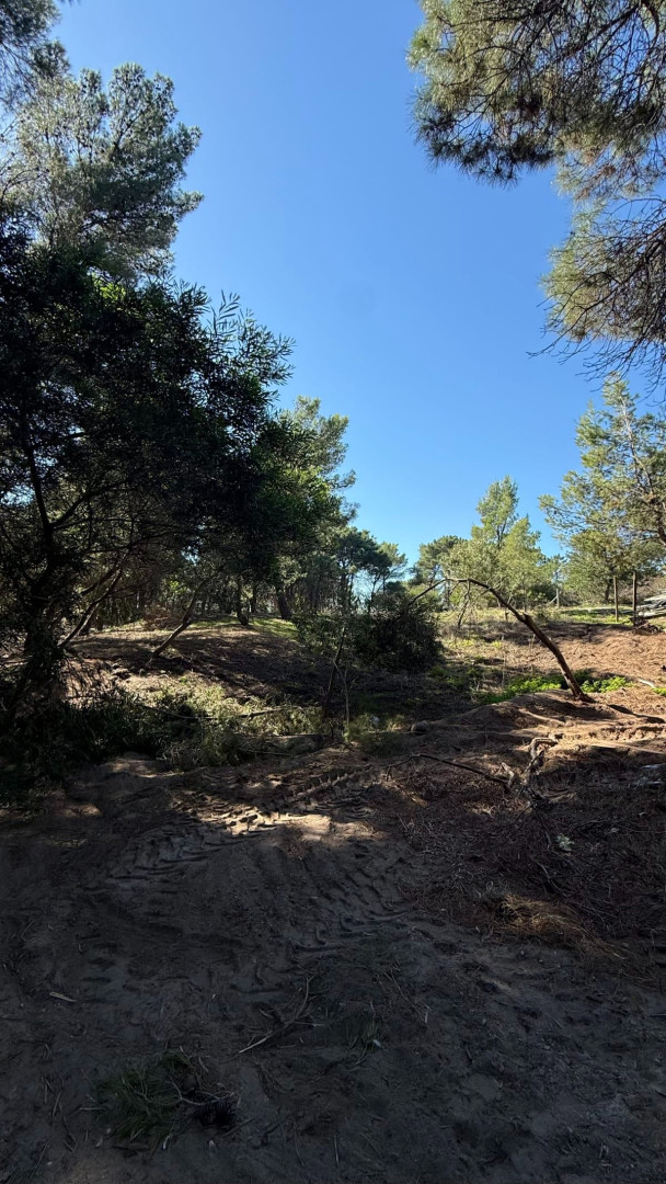 Terreno en Venta en La Paloma Y Maipu, Pinar del Golf, Monte Hermoso - Bahía Blanca Propiedades | SITIO OFICIAL l