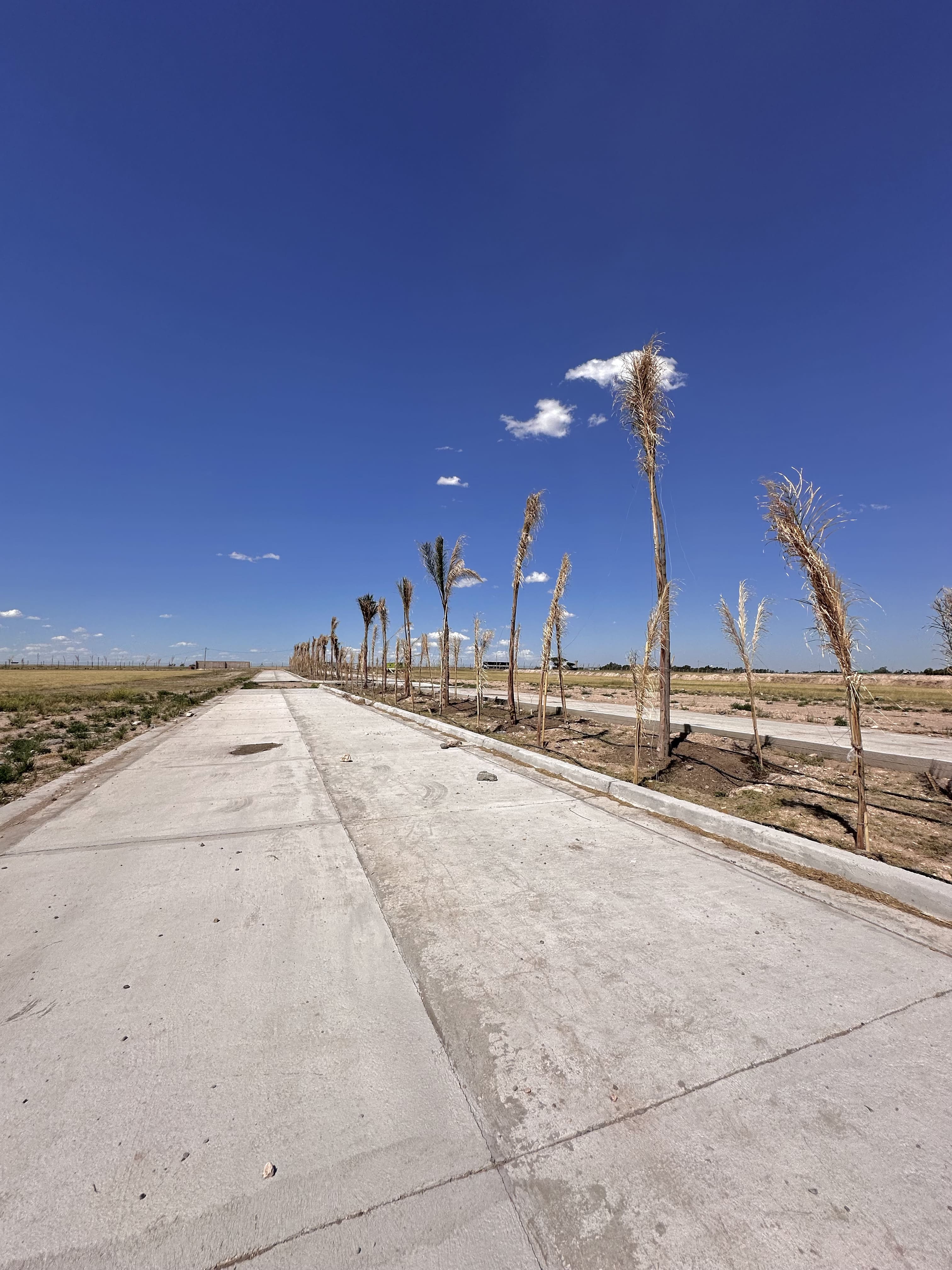 Terreno en Venta en RN229 & Monseñor D Andrea,  Bahía Blanca - Bahía Blanca Propiedades | SITIO OFICIAL l
