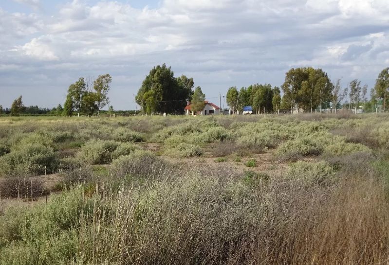 Terreno en Venta en Migueletes 500,  General Cerri - Bahía Blanca Propiedades | SITIO OFICIAL l