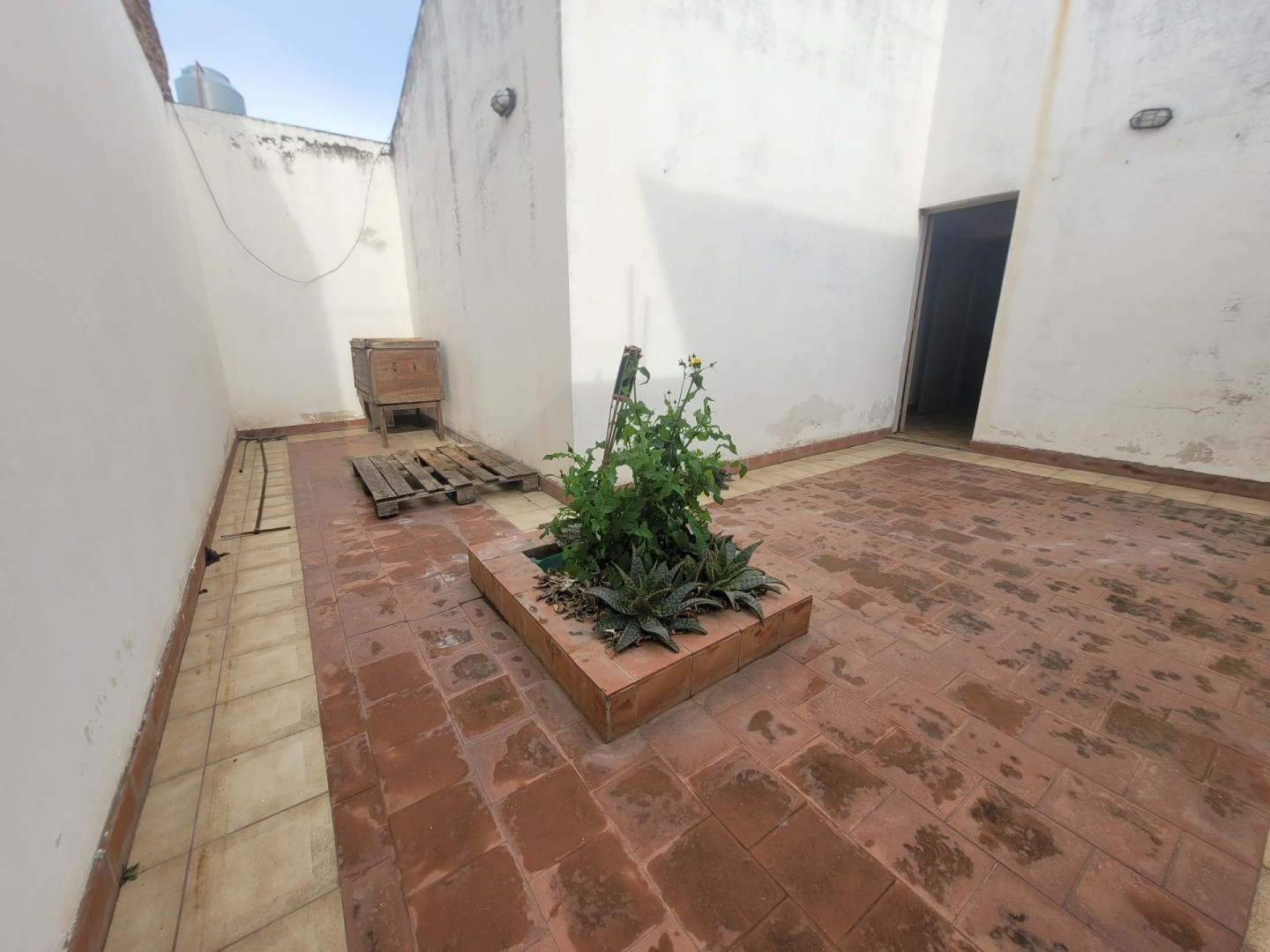 Departamento en Alquiler en Pellegrini 700, Tiro Federal, Bahía Blanca - Bahía Blanca Propiedades | SITIO OFICIAL l