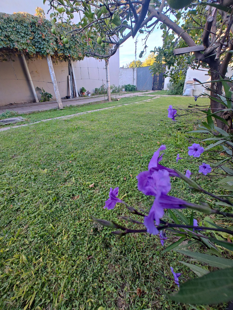 Casa en Venta en España 316,  Tornquist - Bahía Blanca Propiedades | SITIO OFICIAL l