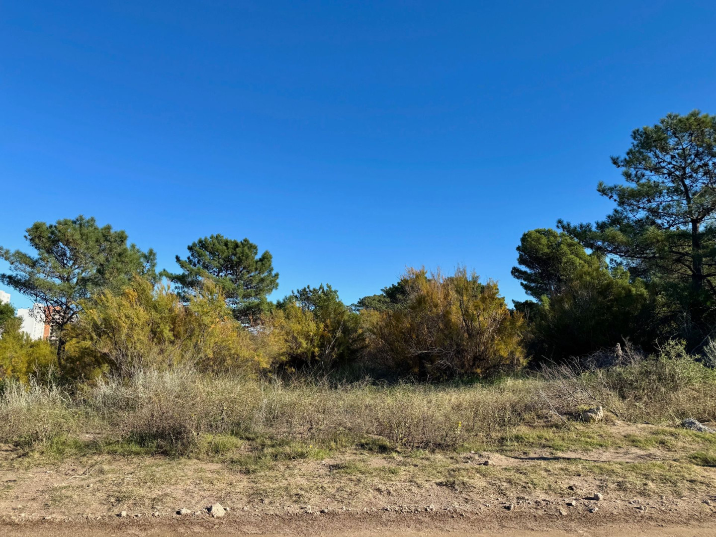 Terreno en Venta en Flamencos Y Martinetas, Monte del Este, Monte Hermoso - Bahía Blanca Propiedades | SITIO OFICIAL l
