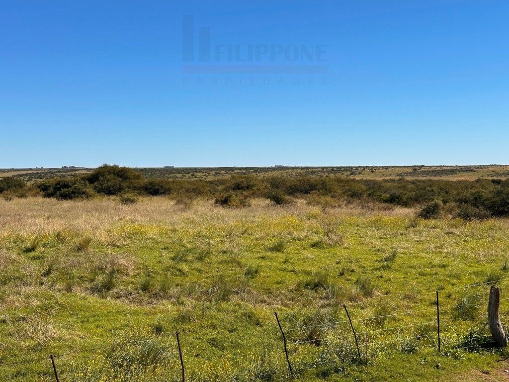 Campo  en Venta en Ruta 35 - Bahía Blanca Propiedades | SITIO OFICIAL l