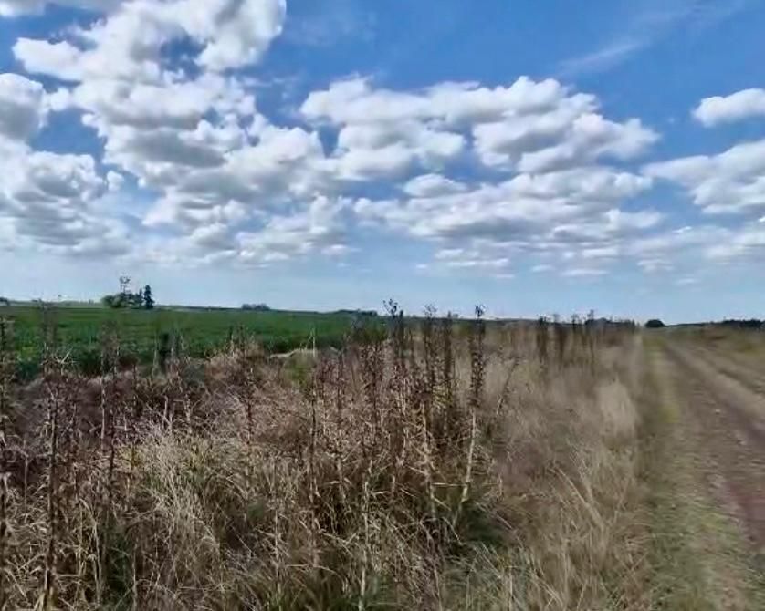 Campo  en Venta - Bahía Blanca Propiedades | SITIO OFICIAL l