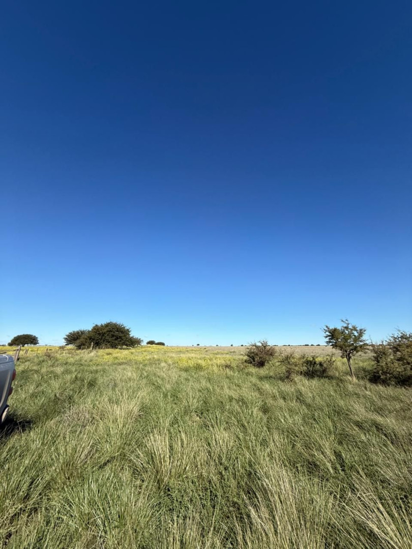 Campo  en Venta en Ruta 22, Algarrobo, Villarino ,  Algarrobo - Bahía Blanca Propiedades | SITIO OFICIAL l