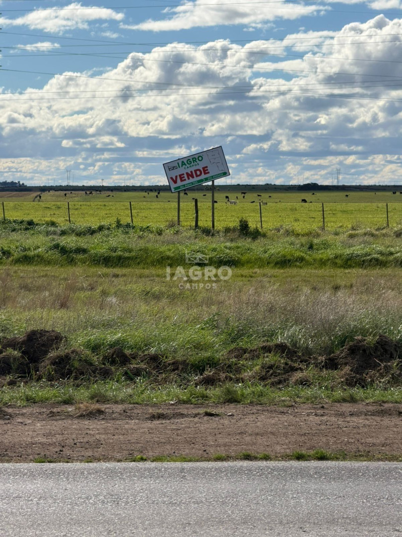 Campo  en Venta en Ruta 51,  Bahía Blanca - Bahía Blanca Propiedades | SITIO OFICIAL l