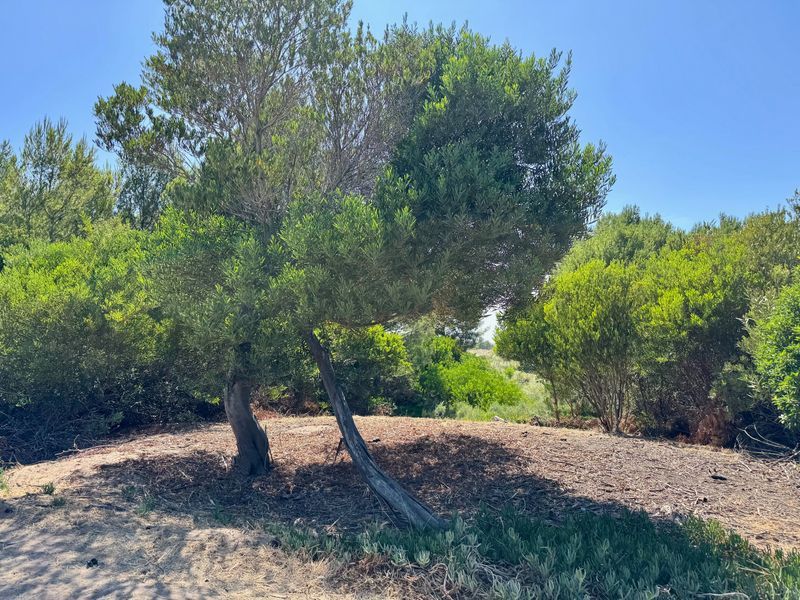 Terreno en Venta en La Florida, El Sauce, Monte Hermoso - Bahía Blanca Propiedades | SITIO OFICIAL l