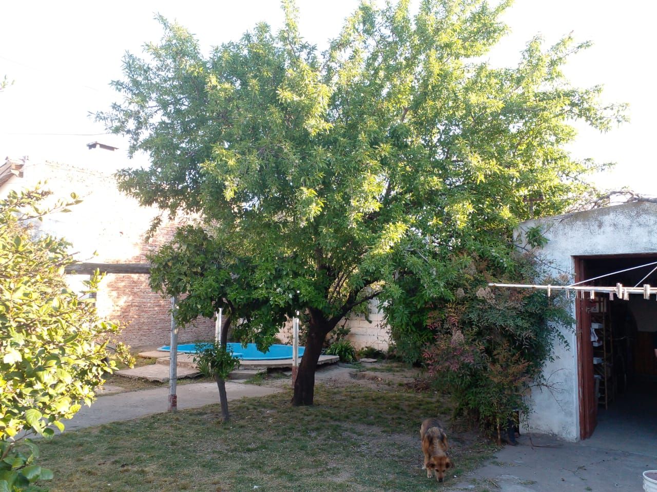 Casa en Venta en Maipu 1995, Barrio Obrero, Bahía Blanca - Bahía Blanca Propiedades | SITIO OFICIAL l