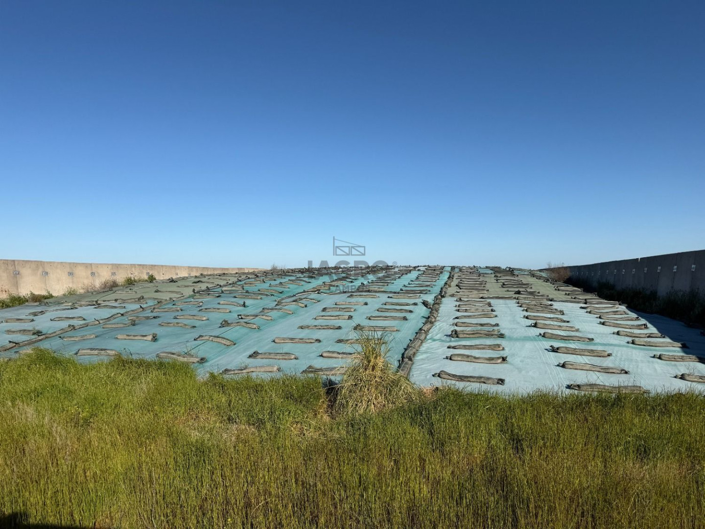 Campo  en Venta en Coronel Dorrego,  Coronel Dorrego - Bahía Blanca Propiedades | SITIO OFICIAL l
