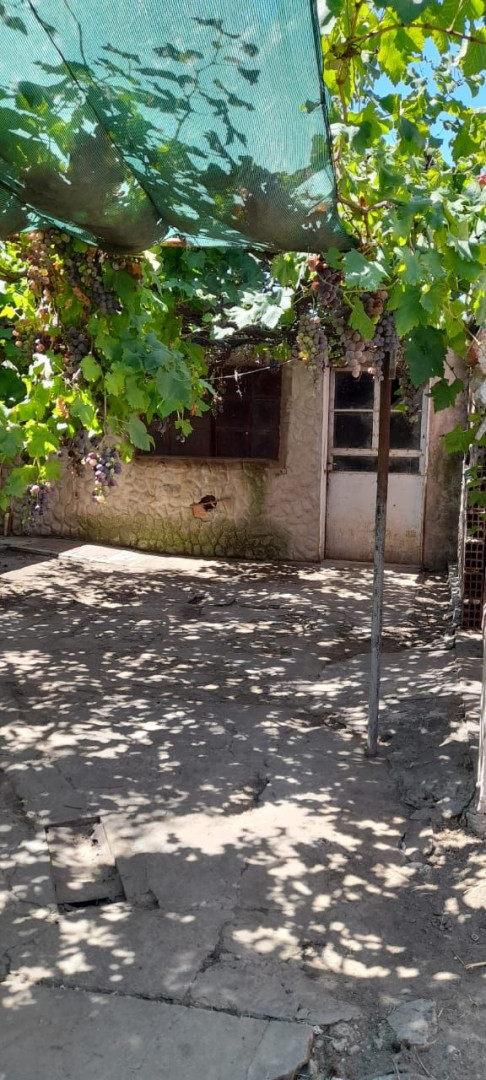 Casa + Departamento en Venta en Libano 969, Noroeste, Bahía Blanca - Bahía Blanca Propiedades | SITIO OFICIAL l