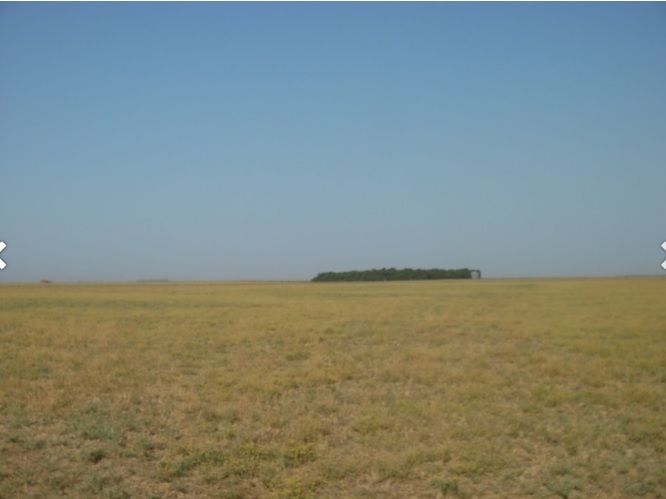 Campo  en Venta en Partido De Villarino,  Villarino - Bahía Blanca Propiedades | SITIO OFICIAL l