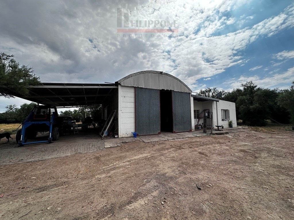 Campo  en Venta en Ruta Nacional 35 Km15,  Bahía Blanca - Bahía Blanca Propiedades | SITIO OFICIAL l