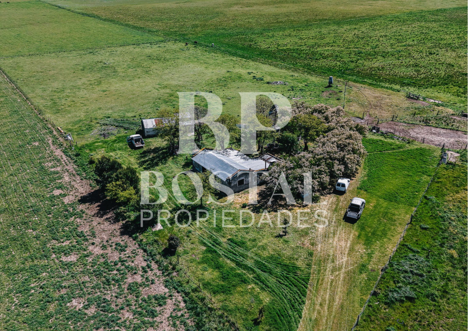 Campo  en Venta en MALVINAS Y TIERRA DEL FUEGO, SAAVEDRA,  Saavedra - Bahía Blanca Propiedades | SITIO OFICIAL l