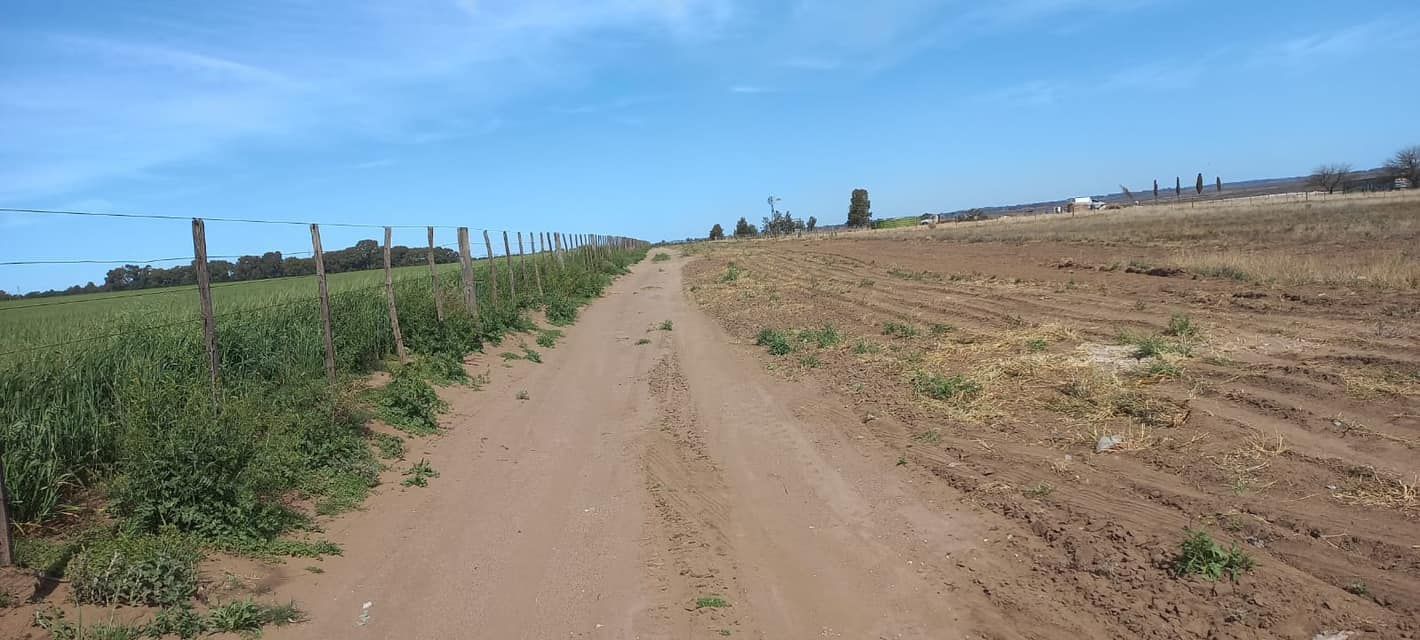 Terreno en Venta en RUTA 3 KM671.5, CAMINO A PUNTA ALTA,  Bahía Blanca - Bahía Blanca Propiedades | SITIO OFICIAL l