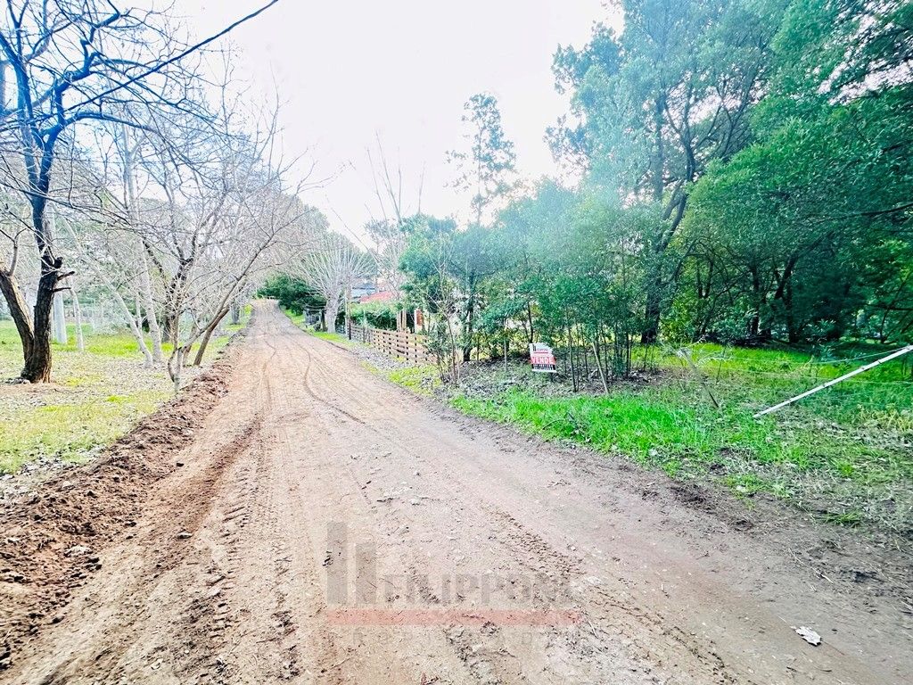 Terreno en Venta en Puleston 2300, El Sauce, Monte Hermoso - Bahía Blanca Propiedades | SITIO OFICIAL l