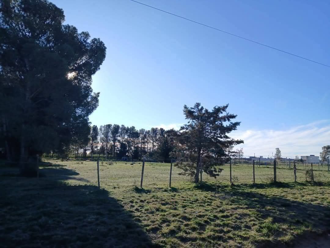 Terreno en Venta en Rigamonti 1200, San Carlos, Bahía Blanca - Bahía Blanca Propiedades | SITIO OFICIAL l