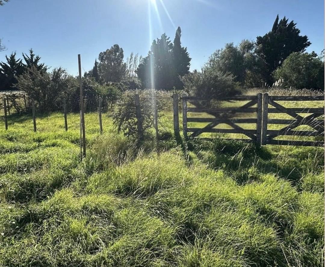 Terreno en Venta en Estanislao Lopez 3731, Paihuen, Bahía Blanca - Bahía Blanca Propiedades | SITIO OFICIAL l