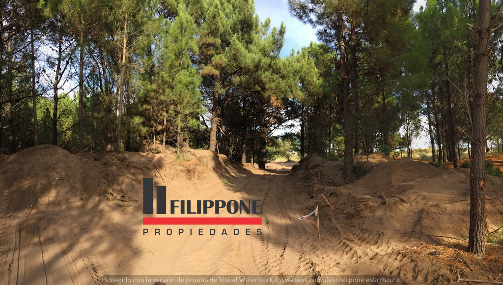 Terreno en Venta   Pehuen Co - Bahía Blanca Propiedades | SITIO OFICIAL l
