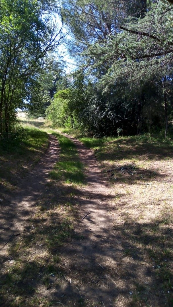 Terreno en Venta en Tres Picos 630,  Sierra de  la Ventana - Bahía Blanca Propiedades | SITIO OFICIAL l