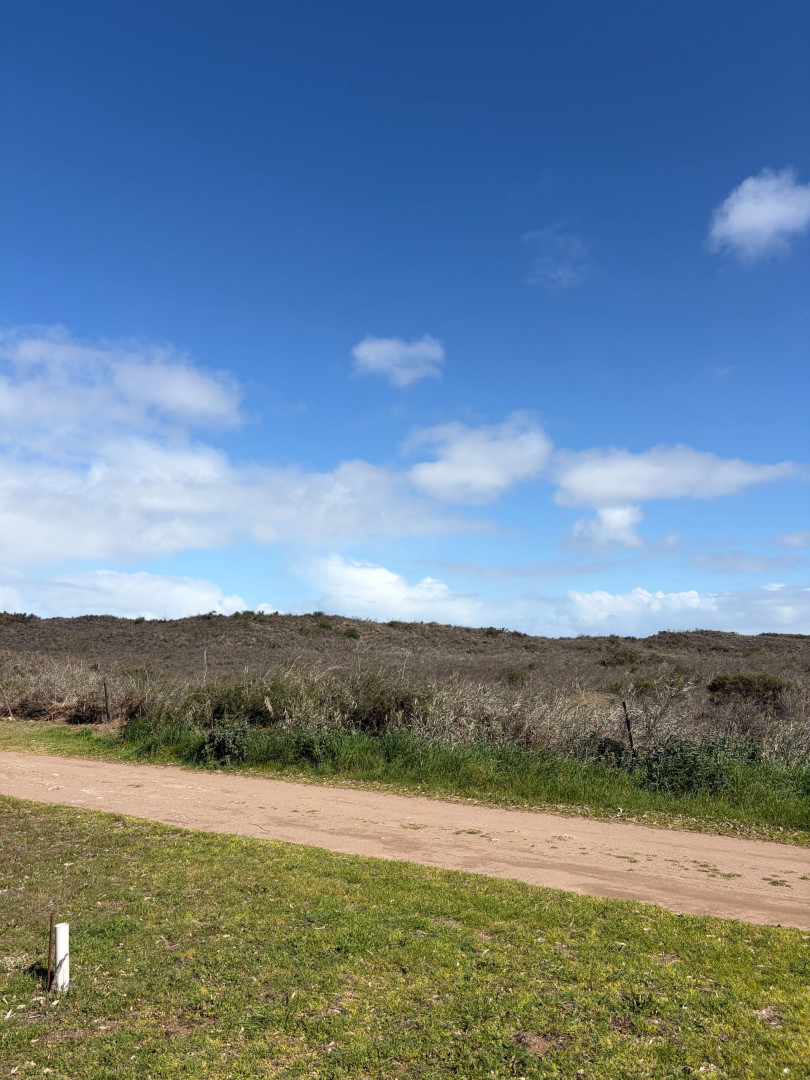 Terreno en Venta en Avenida Trolon Esquina Calle 31 ,  Pehuen Co - Bahía Blanca Propiedades | SITIO OFICIAL l