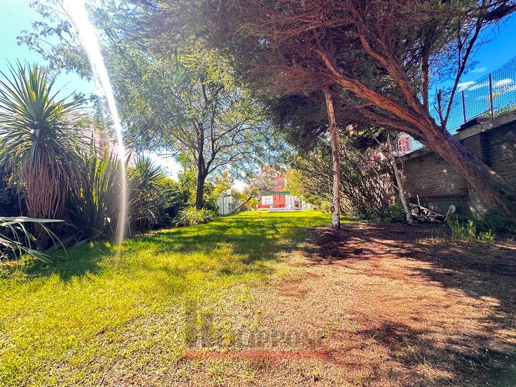 Casa en Alquiler en Alem 900, Universitario, Bahía Blanca - Bahía Blanca Propiedades | SITIO OFICIAL l