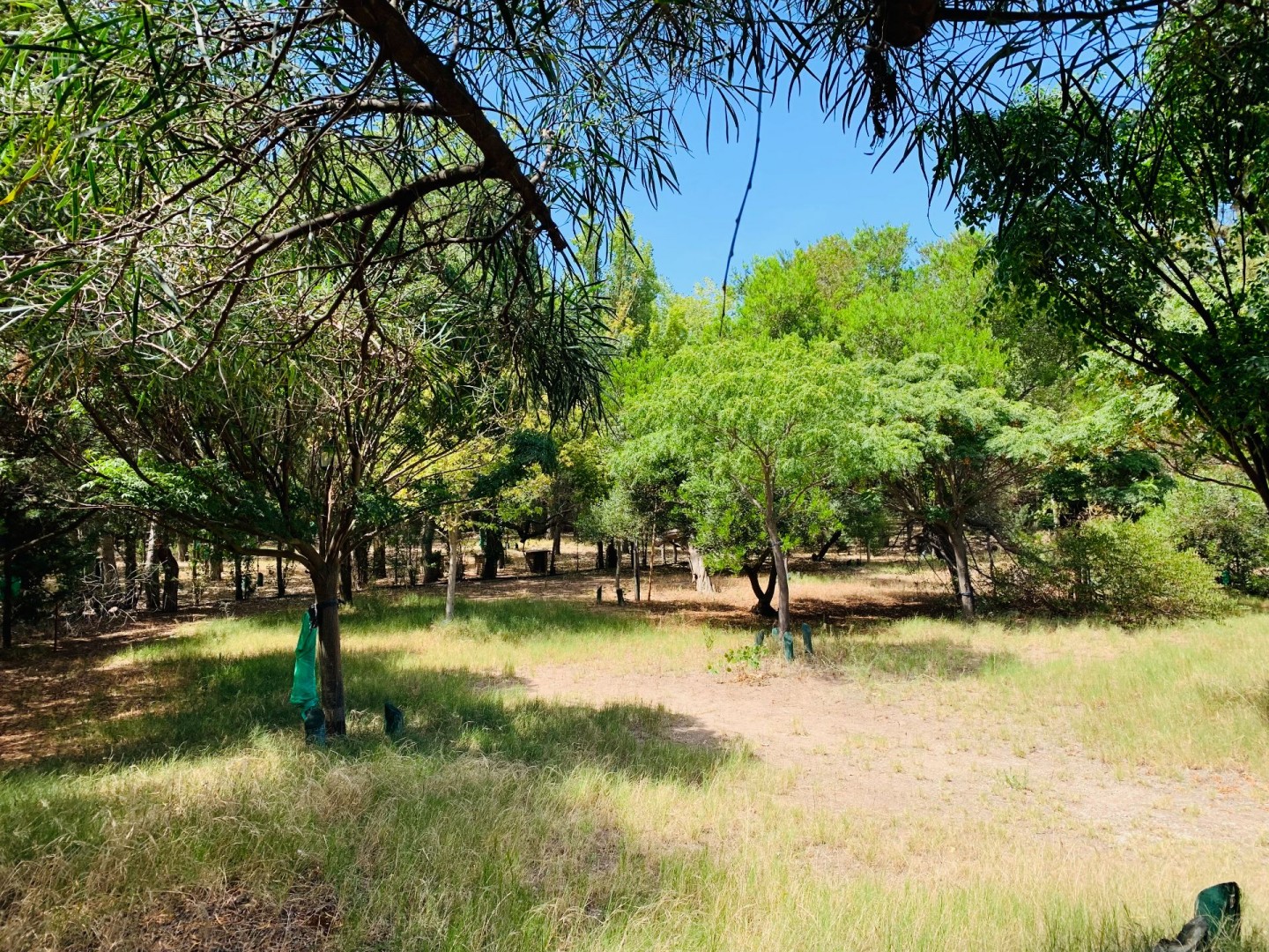 Terreno en Venta en Quiroga Entre Malvinas Y La Rioja, Dufaur, Monte Hermoso - Bahía Blanca Propiedades | SITIO OFICIAL l